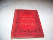 MAYNE REID - POLOWANIE NA WIELORYBY - HOSICK -1884 drzeworyty