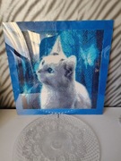 Obraz diamentowy biały kot 