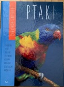 Leksykon zwierząt Ptaki Przekład Kruszewicz  Człapińska