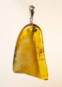 Wisiorek z bursztynu