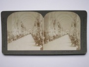 282 Fotografia stereoskopowa - Campo Santo, Genua, Włochy, Italia