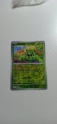 Karta Pokemon TCG Cacnea