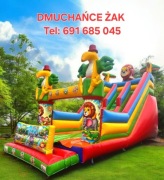 Wynajem dmuchańców WYNAJEM PIANA PARTY Wynajem Zjeżdżalni