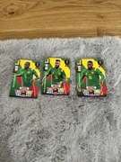 karty FIFA world cup qatar2022 Kamerun