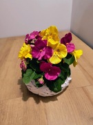 Stroik do domu lub na grób, kompozycja wiosenna , bratki . ST55