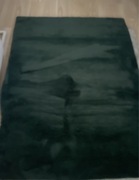 Dywan zielona 120x160