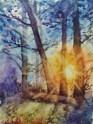 Las o zachodzie słońca 