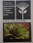 Bogactwo witamin w każdym liściu: sałata, szpinak, endywia