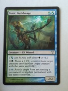 Simic guildmage 