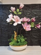 Magnolia że złotym elfem