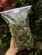Babka lancetowata 100g dla królika i gryzoni- Kraina Siana 