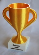 Puchar - wysokość 20 cm.
