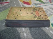 STEVENSON - CZARNA STRZAŁA- przygodowa -1956