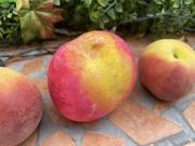 Świeczka ozdobna zapachowa, sojowa: brzoskwinia