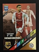 PANINI FIFA 365 2024 Devyne RENSCH nr.AJA15 ( Ajax  )
