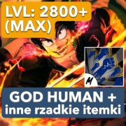 Konto Blox Fruito | Roblox |  MAX 2800+ LVL, God Human, 3 Legendarne fruity