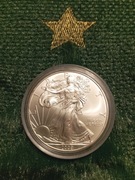 1 Dollar USA srebro 999 z 2009 roku.