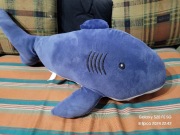 Duży pluszak rekin 80cm