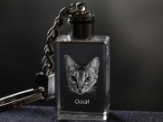 Ocicat brelok sześcienny Świecący