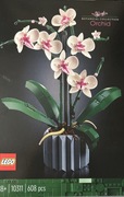 LEGO 10311 ICONS Botanicals Kwiaty Orchidea