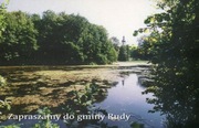 Rudy - Park - Kościół - Pocztówka.