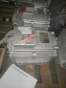 Silnik elektryczny F400 (FLSHT) 15 kW