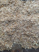 Śrutowana pszenica z grochem 25kg