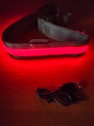 Obroża LED dla psów L 64-70 cm
