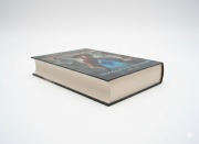 Książka Saga rodu Wingfeatherów. Tom II "Droga na połnoc"