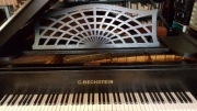 Fortepian C. Bechstein Model B (203cm)