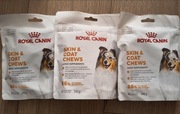 3x 240g Royal Canin Skin & Coat Adult Dog Supplements - SKÓRA i SIERŚĆ