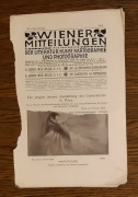 Wiedeńskie newsy z literatury sztuki kartografii i fotografii - luty 1914