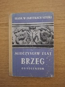 Brzeg - Śląsk w zabytkach