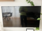 Telewizor Samsung UR43MU6102K 43 cale UHD