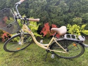 Rower damski retro 