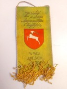 Proporczyk PTTK Zarząd Okręgu Lublin Herb Za zasługi