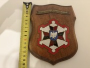 Ryngraf - 1 Dębliński Pułk Drogowo Mostowy