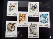 Znaczki Rumunia 1993 koty