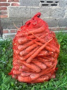 Marchewka Karotan 12,5 kg