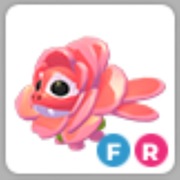 Rose Dragon (R) (F) - Adopt Me! Roblox