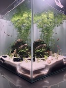 jaskinia do akwarium, narożna kryjówka dla krewetek, glonojadów, druk 3D