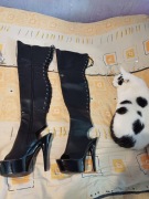 Buty fly nowe,ubrane raz ,do zdjec.