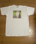 Koszulka Kot Sowa meme tiktok