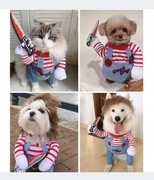 Śmieszne ubranko dla psa, kota XS
