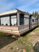 Domekholenderski colsat 11x3