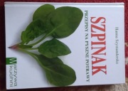 Szpinak przepisy na pyszne potrawy