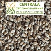 Pszenica paszowa | Karma | Ziarno dla gołębi | drób, dzikie ptactwo | 25 kg