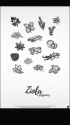 Nowy plakat Follygraph Zioła i przyprawy 30 na 40 cm styl skandynawski