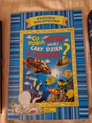 Co robią ryby przez cały dzień w wodzie?