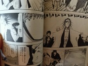 Bleach, Vol. 16: Night of Wijnruit